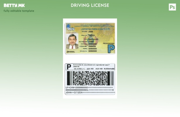 Шаблон за возачка дозвола на Боливија во модерен стил